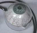 
eyeSDN
(20 Kbytes GIF)
