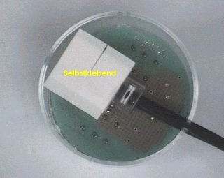 image2s.jpg (11964 Byte)
